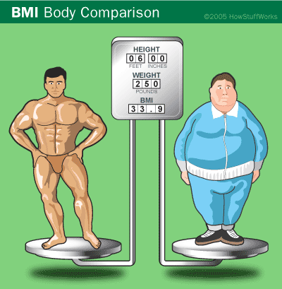 BMI Comparison. Body