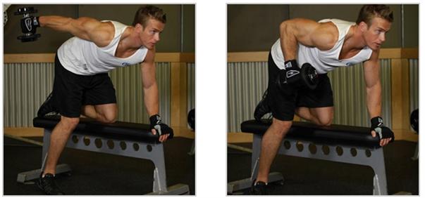 dumbbell tricep kickbacks